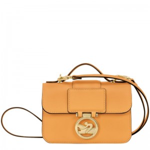 Bolsas Hombro Longchamp Box-Trot XS Mujer Albaricoque Naranjas | 1273-LGQHV