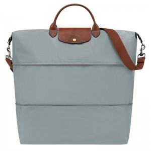 Bolsas de Viaje Longchamp Le Pliage Original expandable Mujer Gris | 2814-KCQEZ