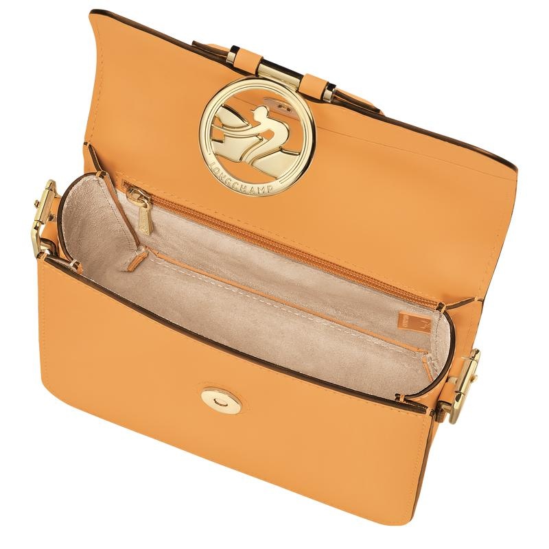 Bolsas Hombro Longchamp Box-Trot S Mujer Albaricoque Naranjas | 2349-DFWZO