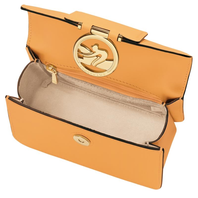 Bolsas Hombro Longchamp Box-Trot XS Mujer Albaricoque Naranjas | 1273-LGQHV