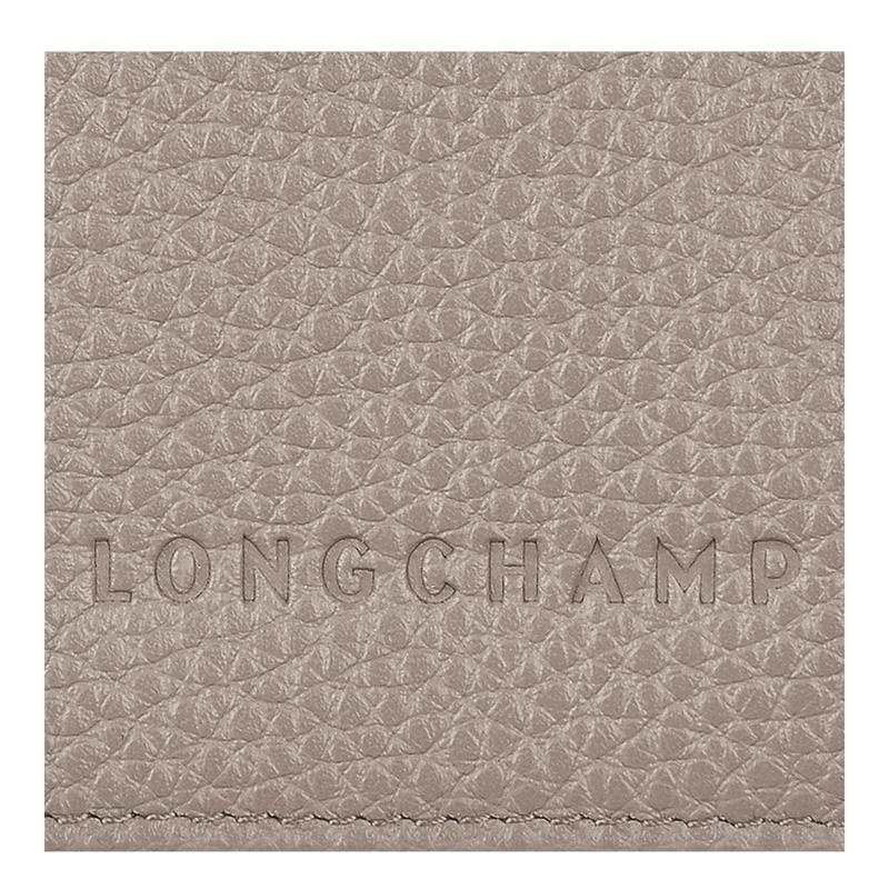 Bolsas de Viaje Longchamp Le Foulonné Passport cover Mujer Gris | 5921-PSTIY