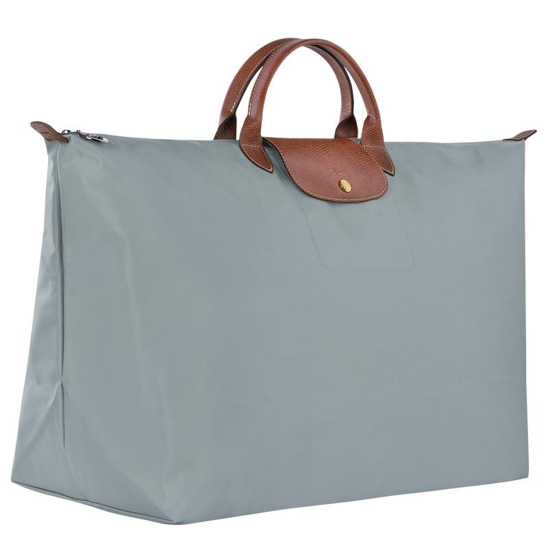 Bolsas de Viaje Longchamp Le Pliage Original M Mujer Gris | 9205-CUNMP