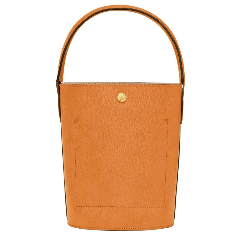 Bolso Saco Longchamp Épure S Mujer Albaricoque Naranjas | 7081-HWDJG