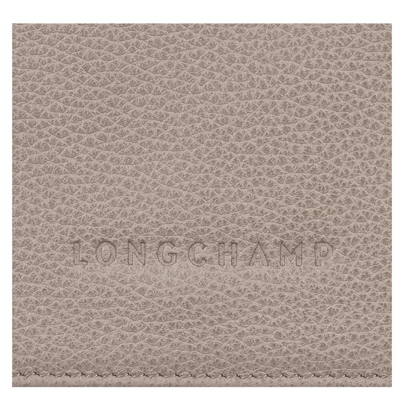 Carteras Longchamp Le Foulonné Mujer Gris | 5136-AQOBU