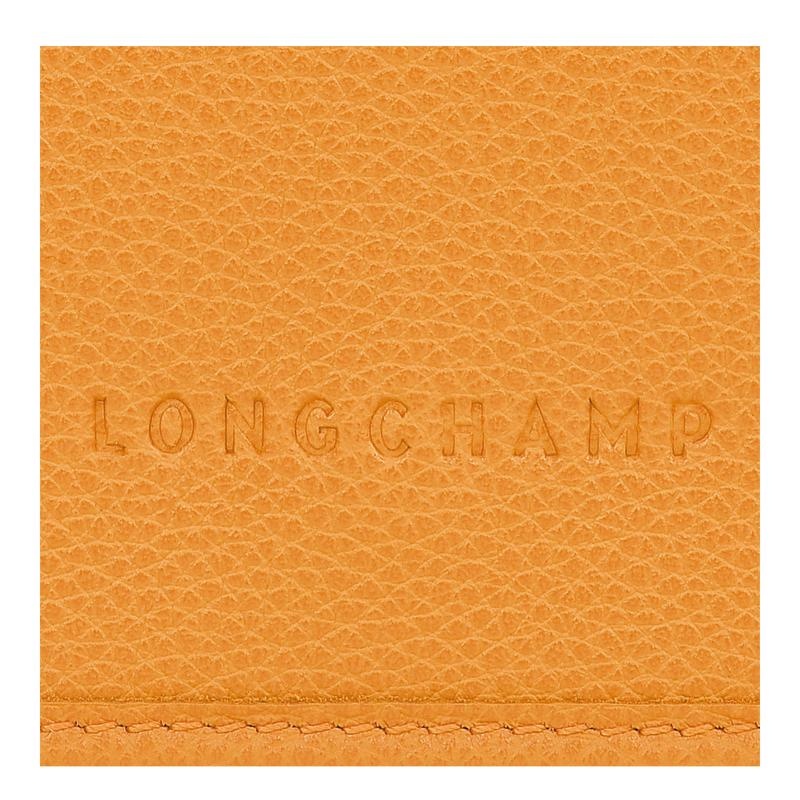 Clutch Longchamp Le Foulonné XS Mujer Albaricoque Naranjas | 7320-WKBYU