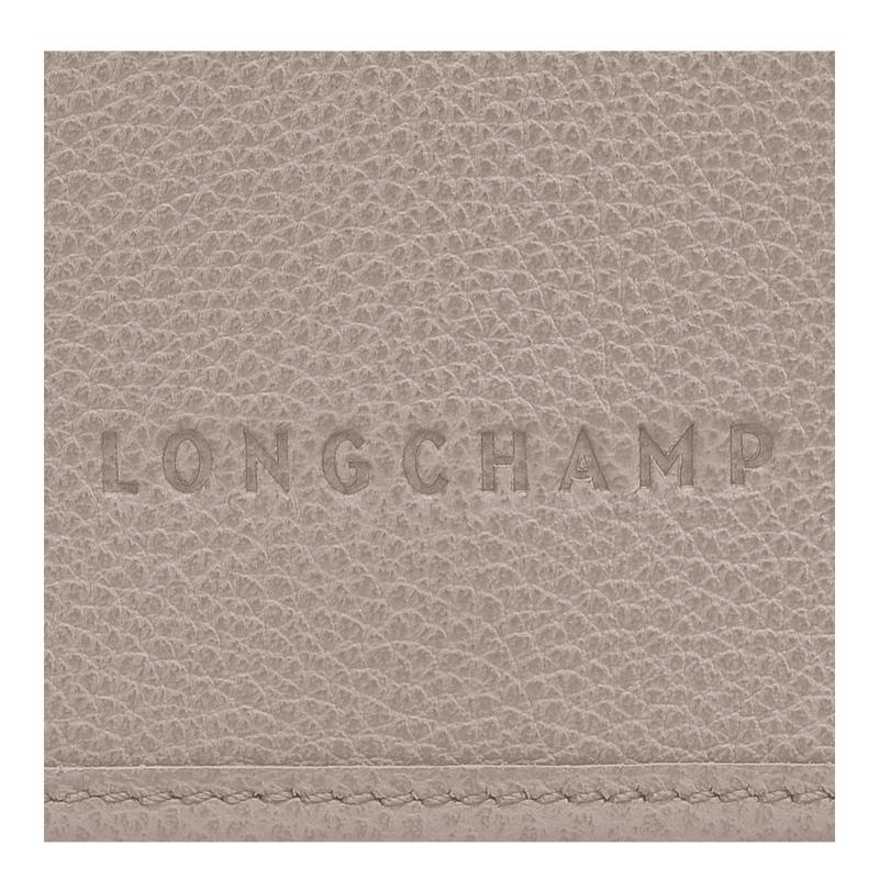 Clutch Longchamp Le Foulonné XS Mujer Gris | 0461-EPYFJ