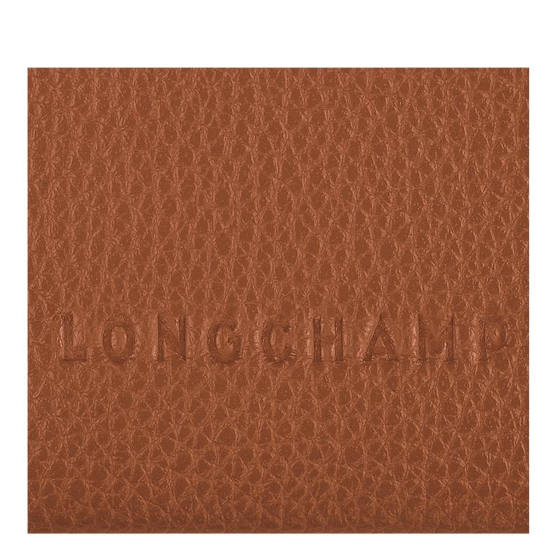 Tarjeteros Longchamp Le Foulonné Hombre Marrones | 8459-HOJUX